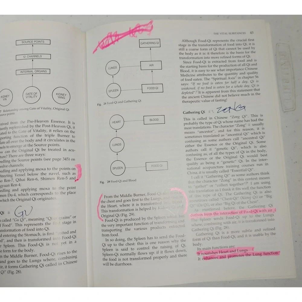The Foundations of Chinese Medicine: A Comprehensive Text For Acupuncturist Herb
